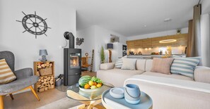 TV, fireplace, video library