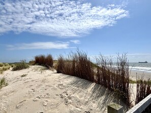 Ein sandiger Strand mit hohem Gras und einer Betonbarriere.