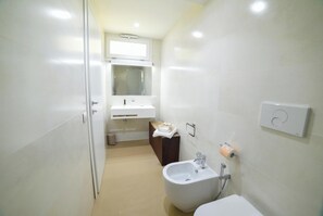Shower, hair dryer, bidet, towels