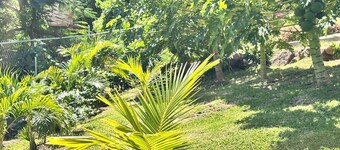 Cozy, compact,and fully furnished studio, near city, stadium, beach, AC, WiFi