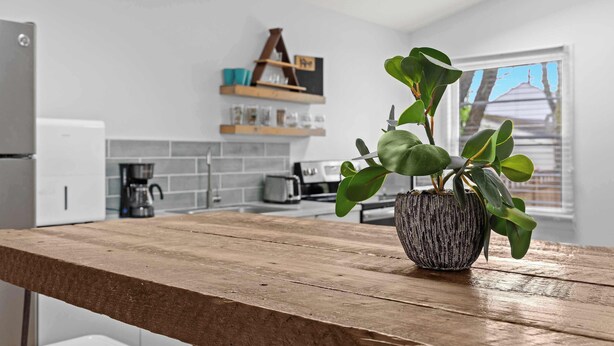 Una cocina con encimera de madera, una planta en maceta y una ventana con persianas.