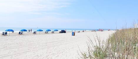 Plage à proximité