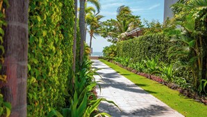 A pathway lined with lush greenery and palm trees, leading towards a building with a view of the ocean.