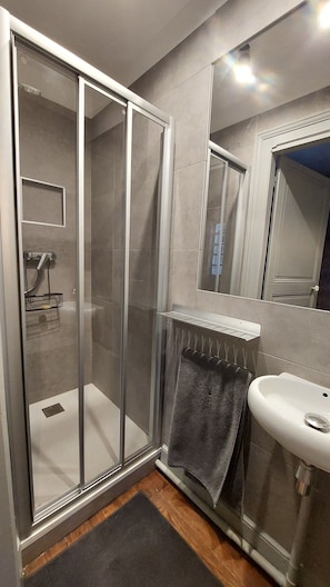 Regadera, secadora de cabello, papel de baño