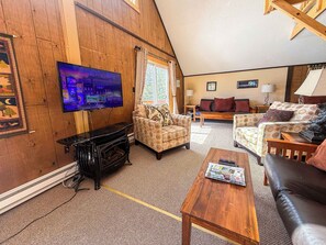 TV, fireplace, books