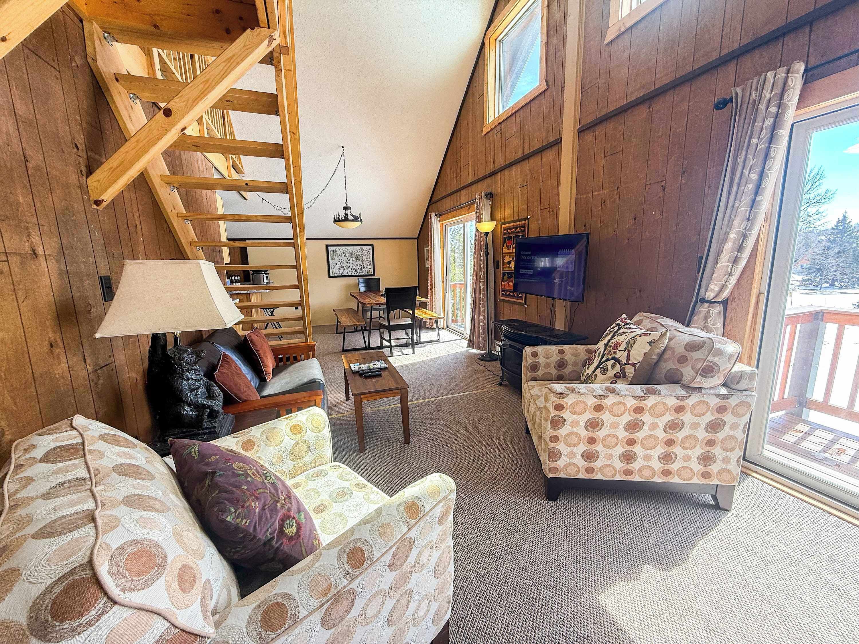 TV, fireplace, books
