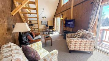 TV, fireplace, books