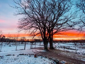 House, 3 Bedrooms, Balcony, Ocean View | Exterior - Viltpark Rollerbü Hjortaröd (Tyringe)