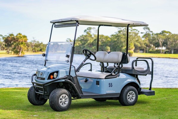 Un carrito de golf con toldo, número 55, estacionado sobre césped cerca de un cuerpo de agua.