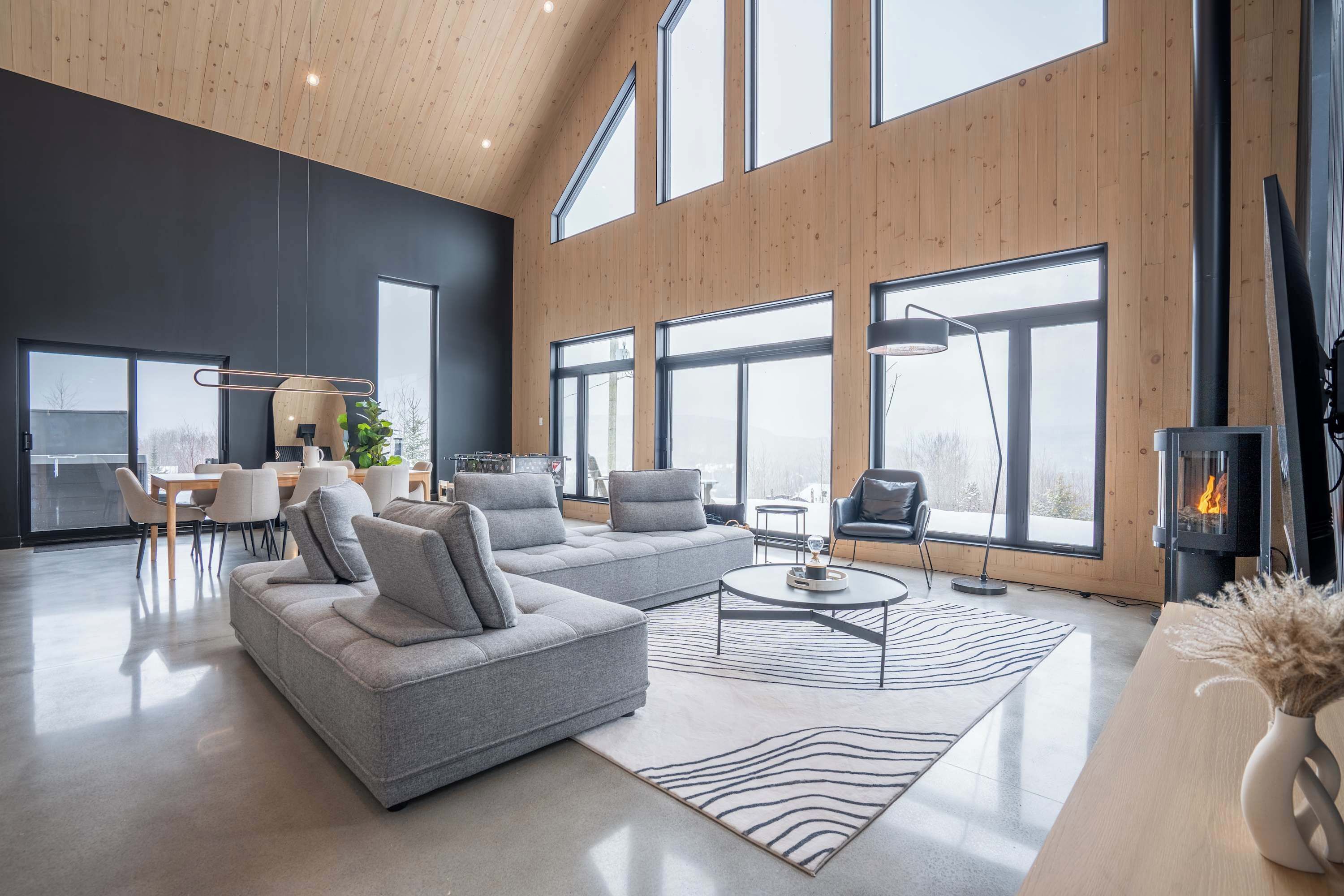 TV, fireplace, stereo