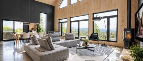 TV, fireplace, stereo