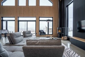 Télévision, cheminée, chaîne hi-fi