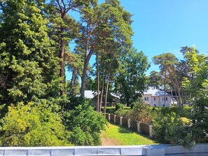 A residential area with a variety of trees, a fence, and a house with a metal roof.