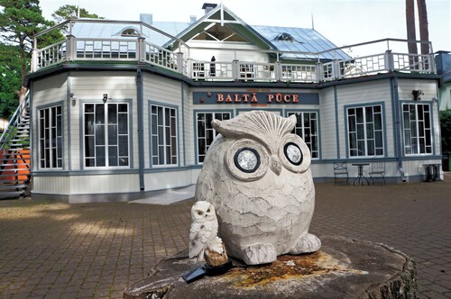 Balta Puce hotel