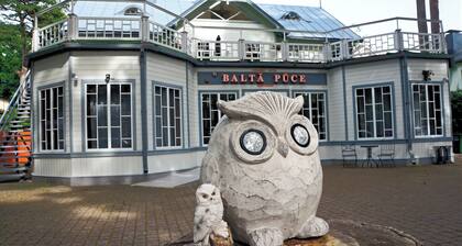 Balta Puce hotel
