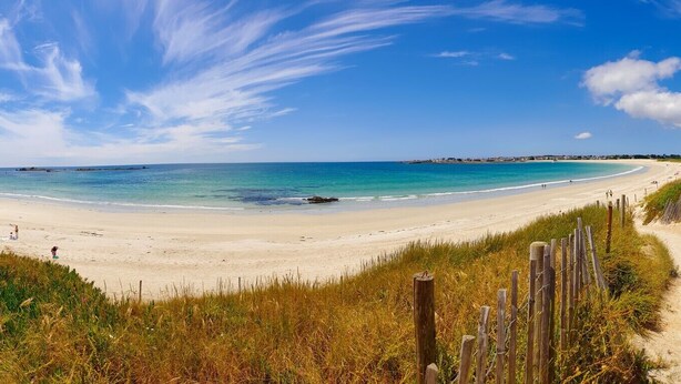 Ein Strand mit blauem Himmel, sandigem Ufer und einem Holzzaun.
