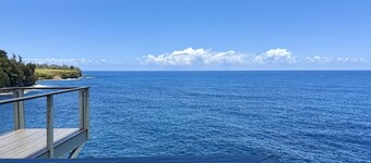 EXTRAORDINARY Hale Kuikahi Oceanfront Retreat - fully airconditioned!