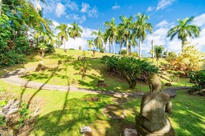 Property grounds - EXTRAORDINARY Hale Kuikahi Oceanfront Retreat - fully airconditioned! (Hilo)