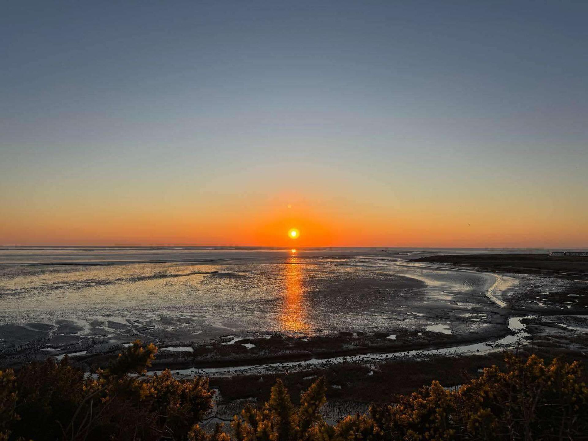 Ein Sonnenuntergang über einer Küstenlandschaft mit flachem Gelände und spärlicher Vegetation.