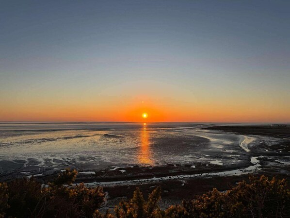 A sunset over a coastal landscape with a flat terrain and sparse vegetation.