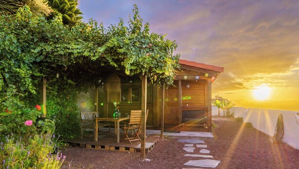 Een houten chalet met een overdekte veranda, omringd door weelderige begroeiing en een pad van stenen dat naar de ingang leidt.