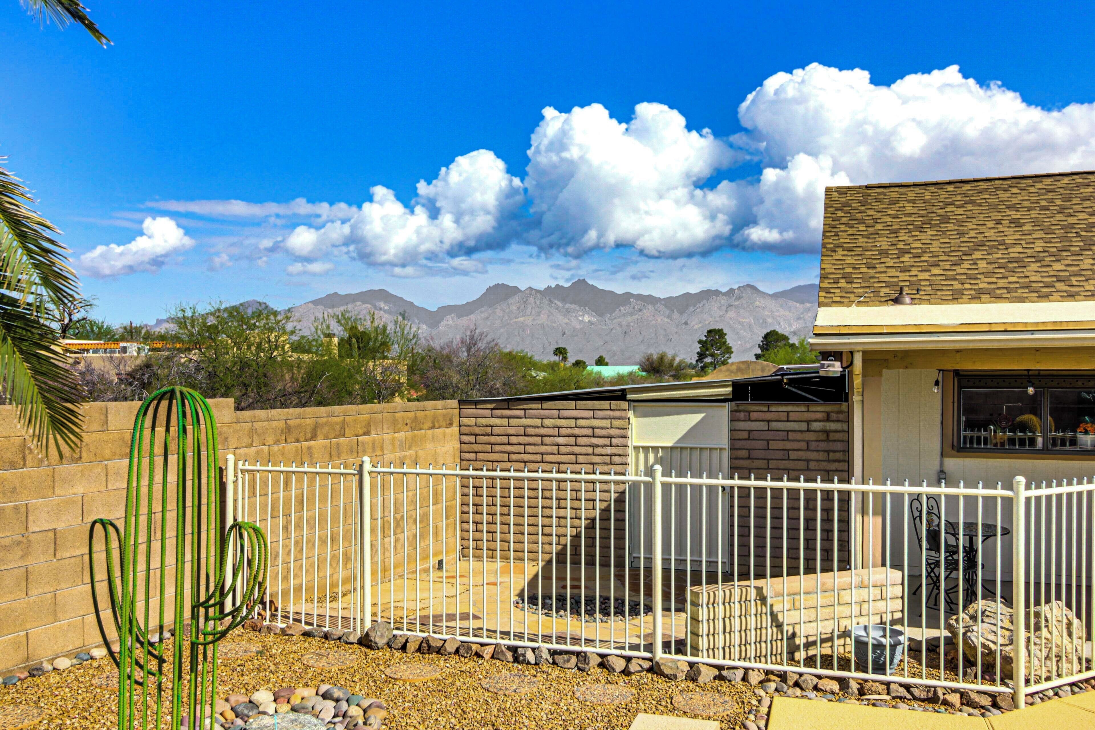 A fenced backyard with a cactus, a brick wall, and a mountain range in the background.