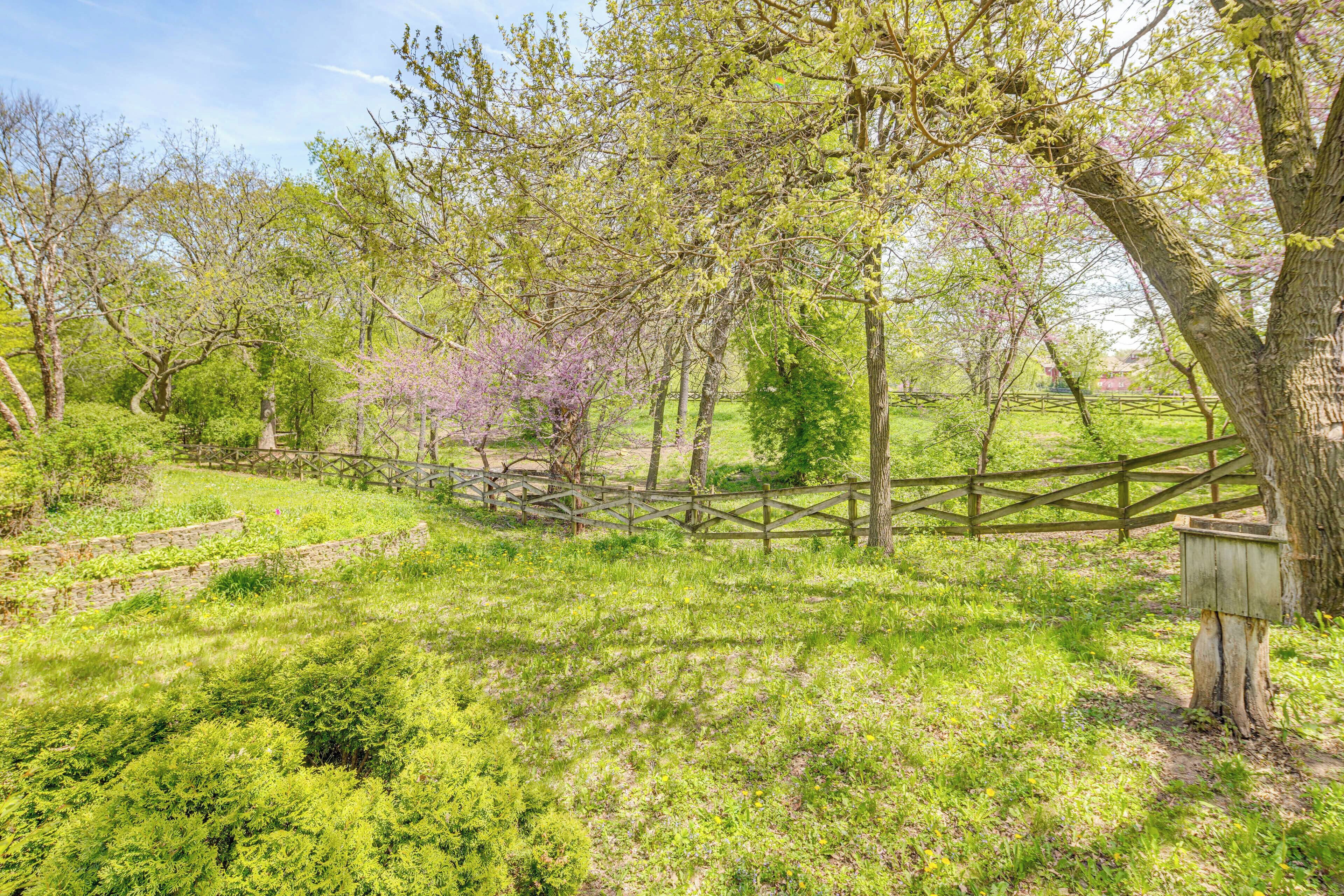 A rural landscape with a wooden fence, trees, and a wooden structure.