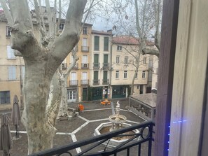 Property grounds - Magnificent apartment with direct access to the Place des 9 Jets in CERET. (Céret)