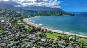 A coastal residential area with houses, a beach, and mountains in the background.