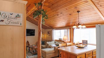 TV, DVD player, books, video library