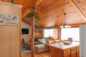 TV, DVD player, books, video library