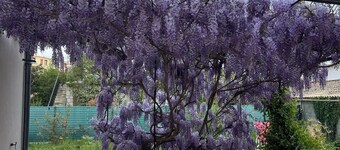 Au cœur du Var,  standing et calme entre St Tropez et les gorges du Verdon.