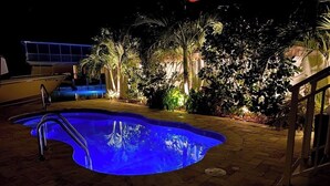 A swimming pool with a metal ladder, surrounded by palm trees and plants, at night.