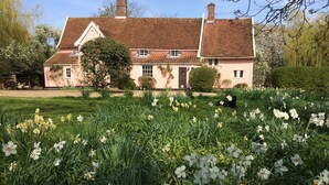 A house with a red-tiled roof, surrounded by a garden with white flowers. - Toad Hall Swilland, a beautiful, 5 bedroom country residence surrounded by Suffolk countryside (Swilland,)