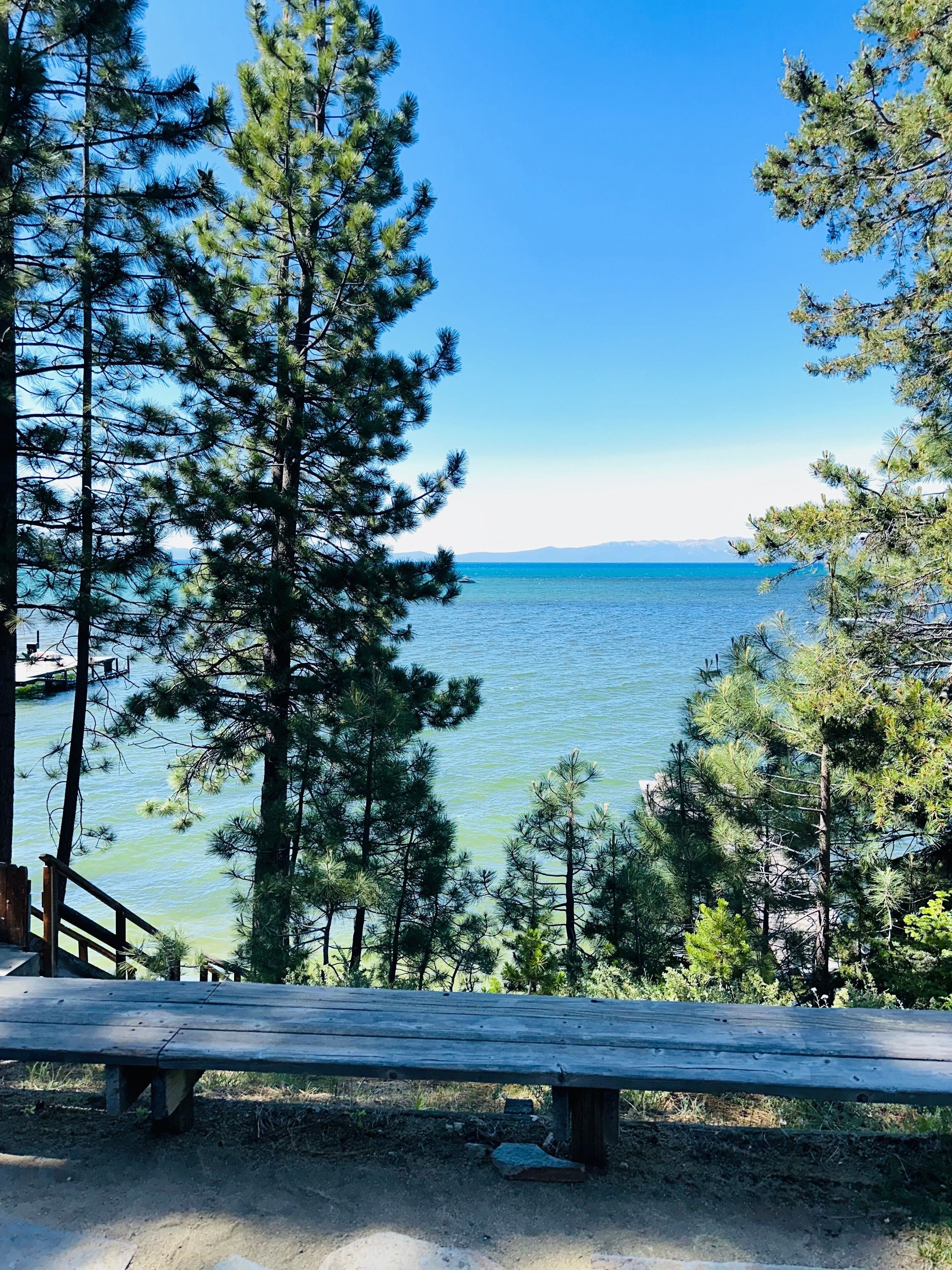 Un banco de madera con vistas a un lago, con altos pinos y un cielo despejado.