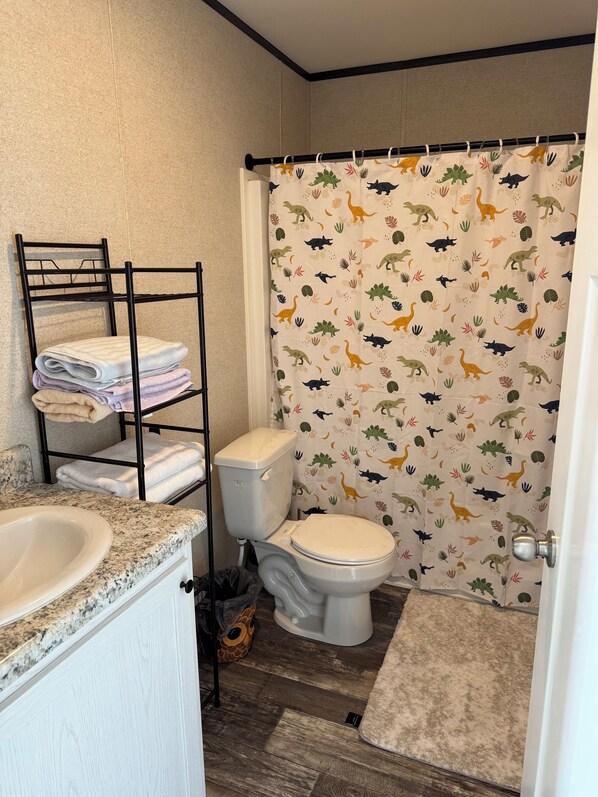 Assecador de cabells, tovalloles, sabó i paper higiènic 