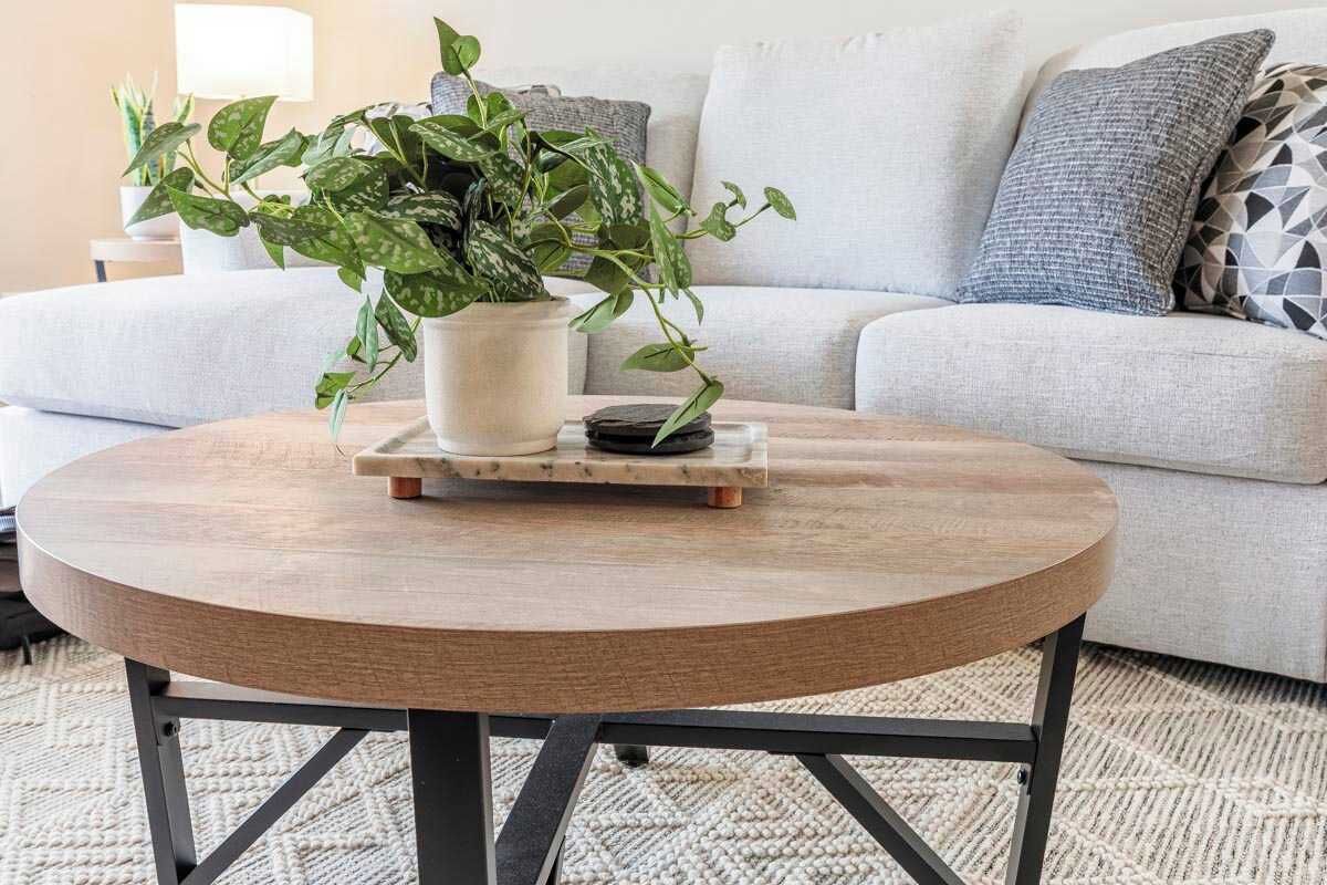 A round wooden coffee table with a potted plant on top, placed on a textured rug in a living room with a light-colored sofa and patterned cushions.