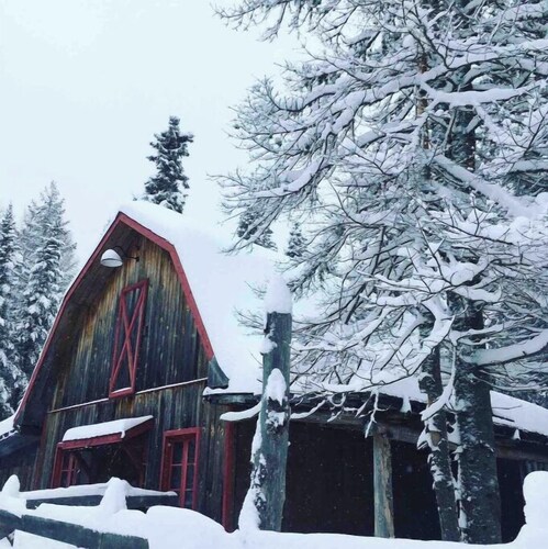 Quaint country cottage & private hot tub