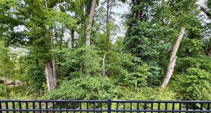 Charming new 3-bedroom house in Raleigh w/weekly 15% & monthly 30% discounts