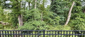 Charming new 3-bedroom house in Raleigh w/weekly 15% & monthly 30% discounts
