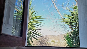 Una ventana con vistas a un cielo azul despejado, un árbol y algo de follaje.