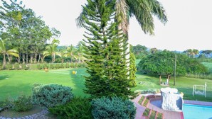 A well-maintained garden with a lawn, a variety of trees, and a swimming pool.