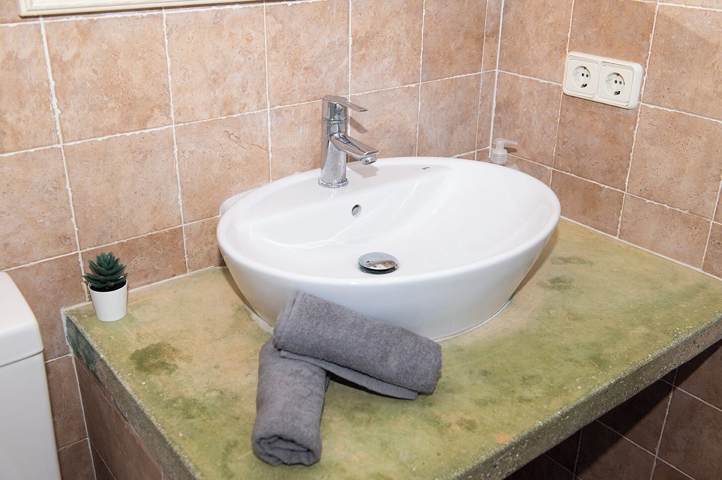 A bathroom with a white sink, a small potted plant, and a towel on the counter.