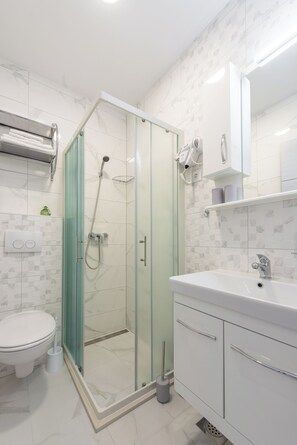 Hair dryer, towels, soap, toilet paper