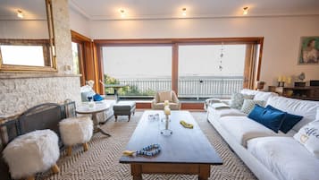 Télévision, cheminée, livres, espaces bureaux