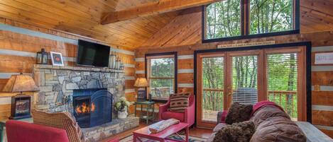 TV, fireplace, DVD player