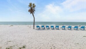 A beach with a row of blue lounge chairs and a palm tree.