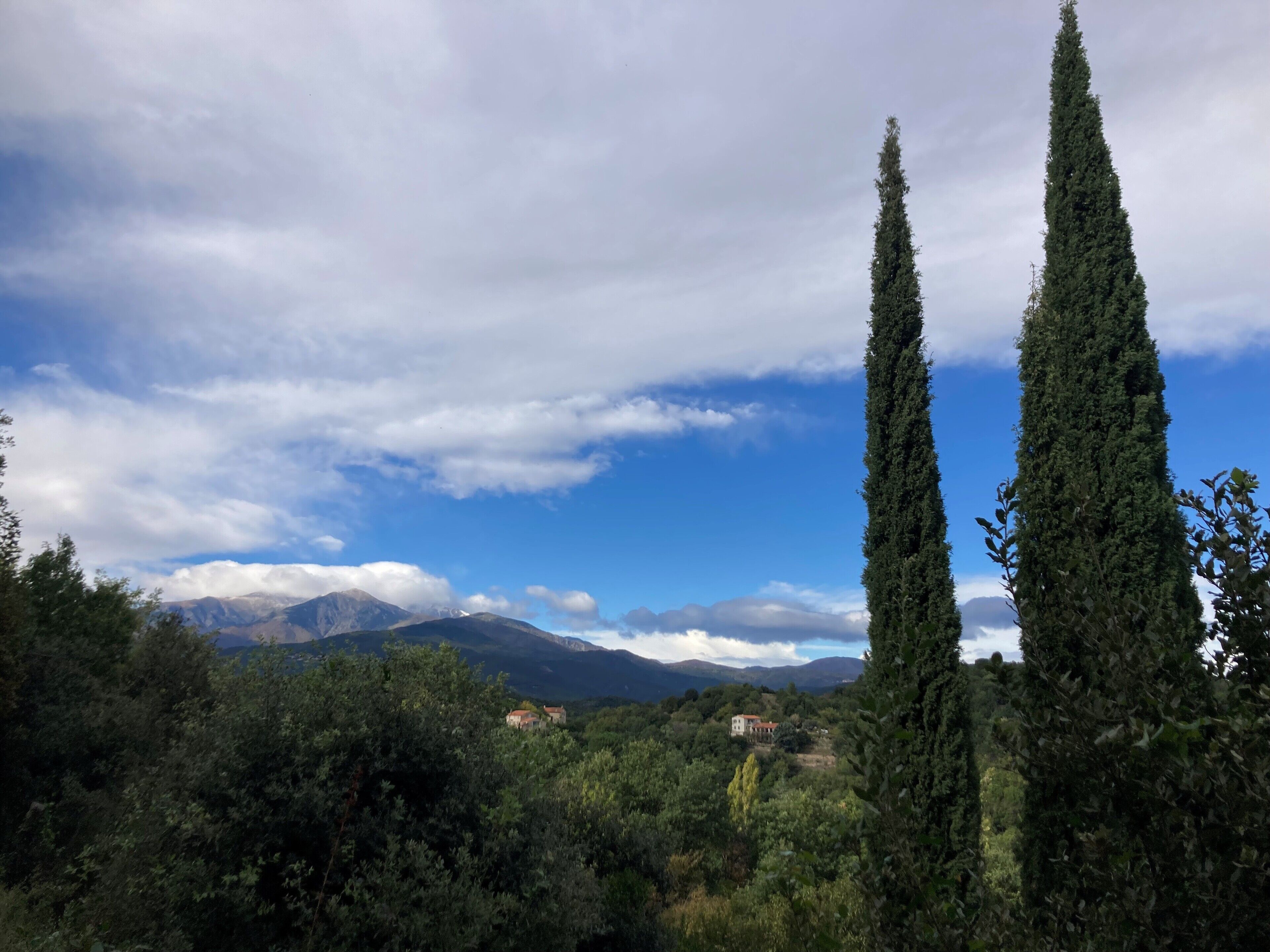 A mountainous landscape with two tall cypress trees in the foreground, a clear sky, and distant mountains.