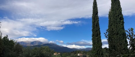 A mountainous landscape with two tall cypress trees in the foreground, a clear sky, and distant mountains.