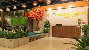 Zona de recepción con un escritorio de madera, mostrador de recepción y un gran árbol artificial.
